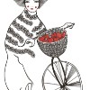 Apple Basket
